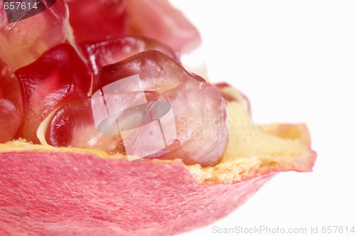 Image of grain pomegranat