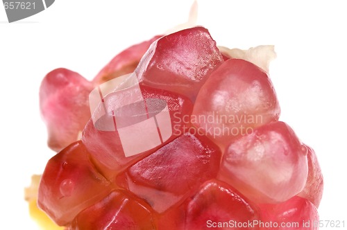 Image of grain pomegranat