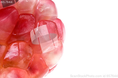 Image of grain pomegranat