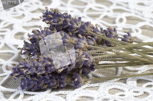 Image of lavender