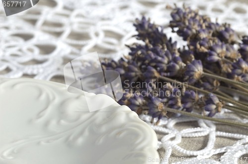 Image of lavender