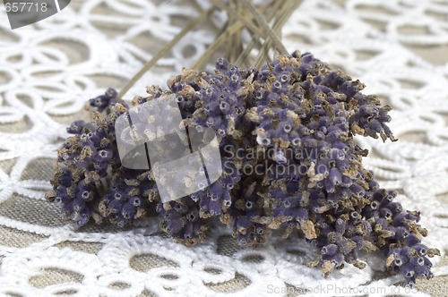 Image of lavender