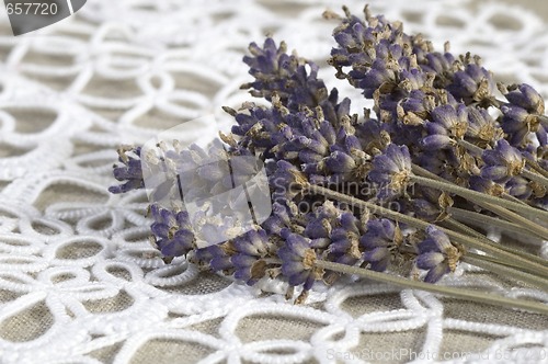 Image of lavender