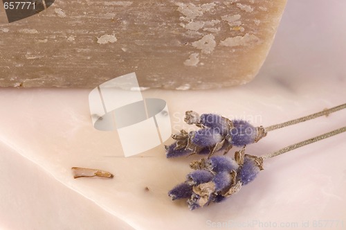 Image of lavender soap