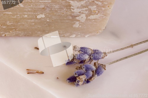 Image of lavender soap