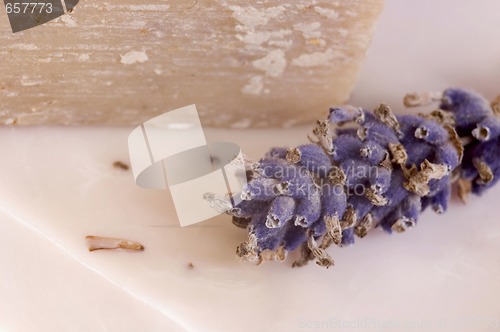 Image of lavender soap