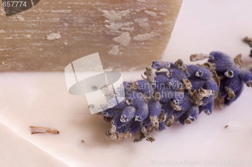 Image of lavender soap