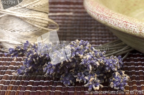 Image of lavender bunch