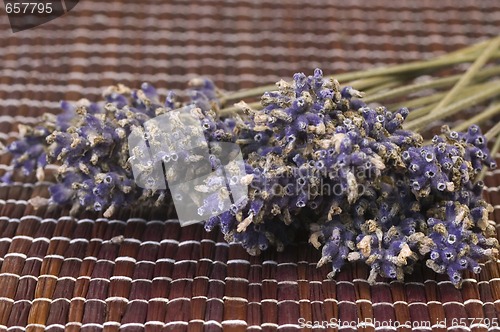 Image of lavender bunch