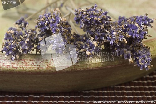 Image of lavender bunch
