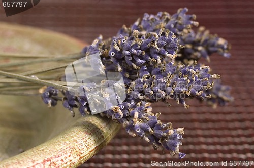 Image of lavender bunch