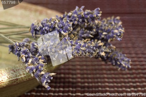 Image of lavender bunch