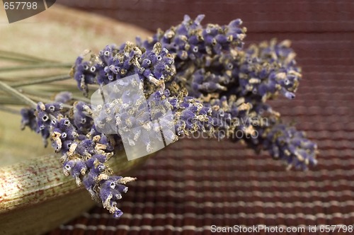 Image of lavender bunch