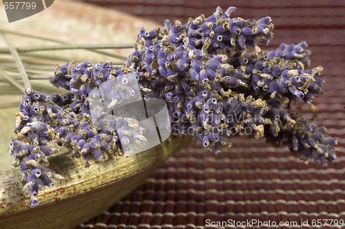 Image of lavender bunch