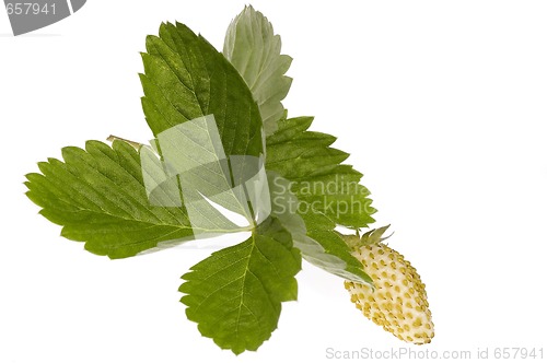 Image of yellow starwberry on white