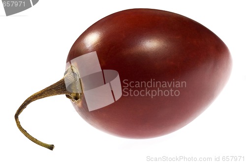 Image of A single tamarillo isolated on white