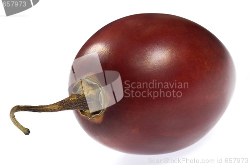 Image of A single tamarillo isolated on white