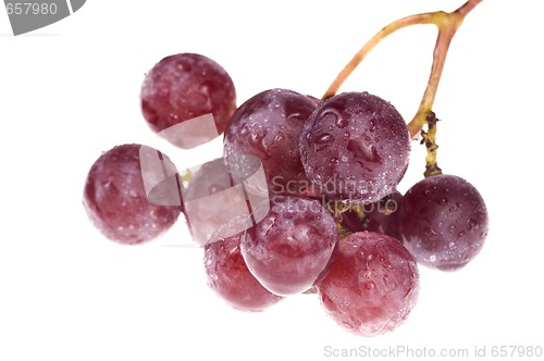 Image of bunch of delicious grapes isolated on white