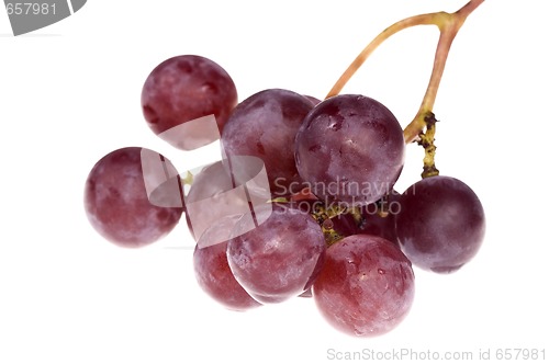 Image of bunch of delicious grapes isolated on white