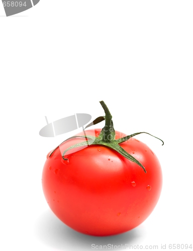 Image of Tomato