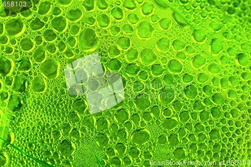 Image of Bubbles