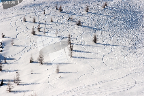 Image of Winter