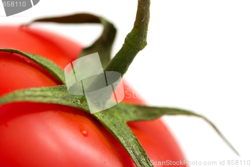 Image of Tomato