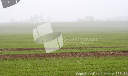 Image of Fog