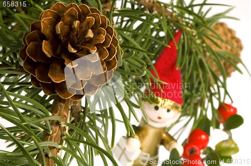 Image of Isolated pine branch with cone. christmas