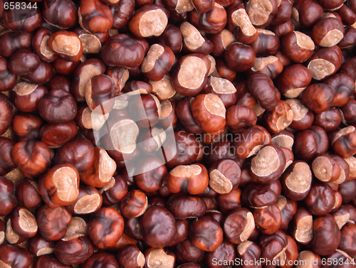 Image of chestnuts