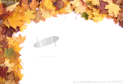 Image of autumunal background