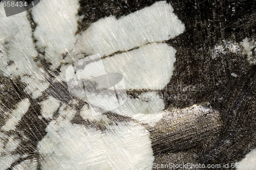Image of stone flowers