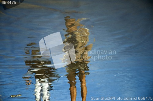 Image of on the beach