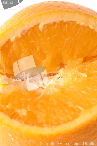 Image of navel orange macro