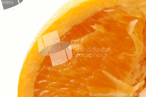 Image of navel orange macro vertical