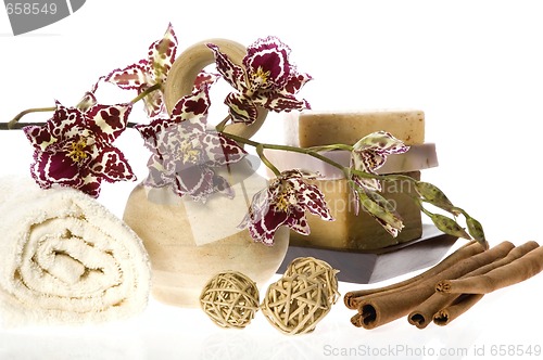 Image of oriental orchid