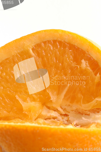 Image of navel orange macro