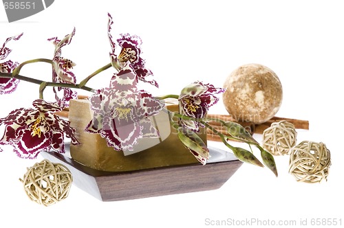 Image of oriental orchid