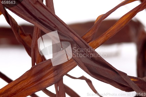 Image of abstract leaf