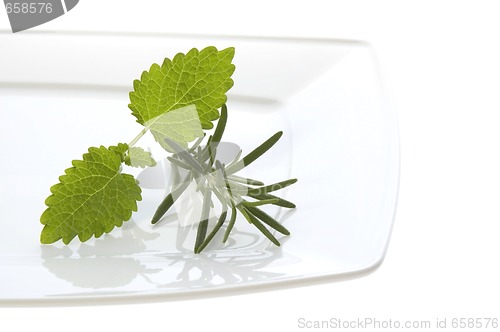 Image of fresh herbs. rosemary and lemon balm