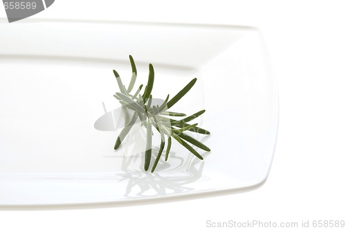 Image of fresh herbs and spices. isolated on the white background