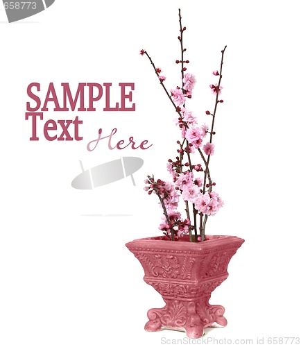 Image of Pretty Cherry Blossoms in a Vase