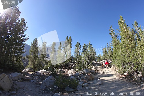 Image of Rural Hiker Hiking With Her Dog