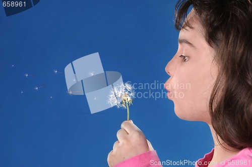 Image of Child Blowing Dandylions Against Blue Background