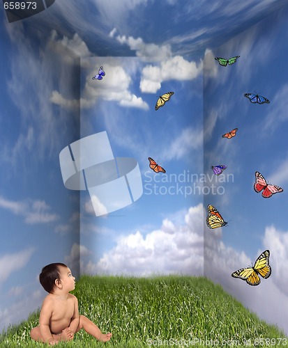 Image of Baby Looking up at Butterflies