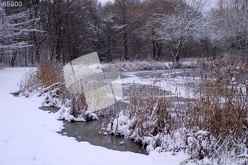 Image of Winter in sweden