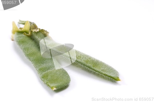 Image of bean