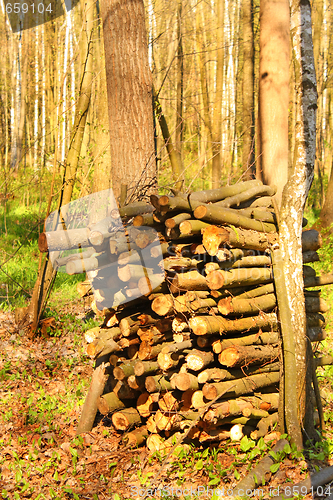 Image of Firewood