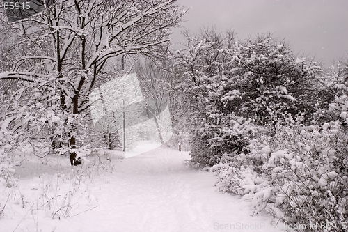 Image of Winter in sweden