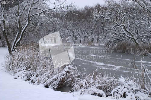 Image of Winter an snow.